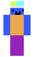 00012 minecraft skin