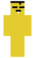 8a3be66679dbdd minecraft skin