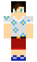 mjsully minecraft skin