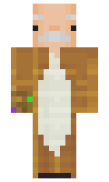zegevlier minecraft skin