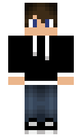 Vevice minecraft skin