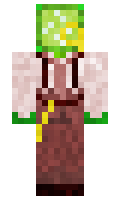 dimelime minecraft skin