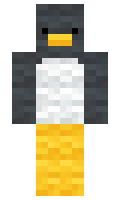 santacaddy minecraft skin