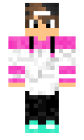 PandaNiek minecraft skin