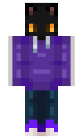 joueur minecraft skin