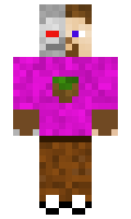 8acd6998f0034d minecraft skin