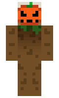 FluffGaming55 minecraft skin