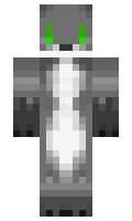 ZUMMY minecraft skin