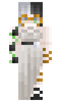 8b161ee80a569a minecraft skin