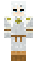 Kampagnenmesse minecraft skin