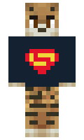 CodingAir minecraft skin