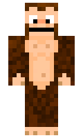 alanpro minecraft skin