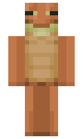FriskyFrog minecraft skin