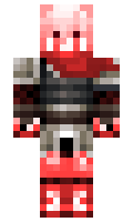 vit minecraft skin