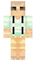 8ba8489a778ebc minecraft skin