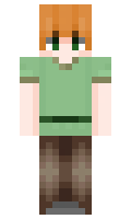 nqlez minecraft skin