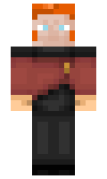 ARKS minecraft skin