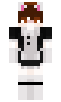 8c1b4881c670cc minecraft skin