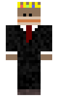 Intelligences minecraft skin