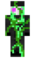 8c2770d27c9746 minecraft skin