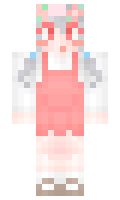 1004 minecraft skin