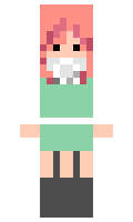 raccperson minecraft skin