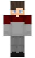 MinPol minecraft skin