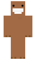 npcds1 minecraft skin