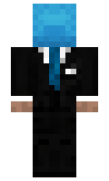 duPe minecraft skin