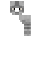 Pangser minecraft skin