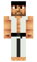 MisterMasterMine minecraft skin
