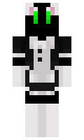 slaurits minecraft skin