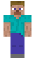 flh minecraft skin