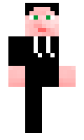 Ridmarg minecraft skin