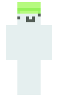 Trainly minecraft skin