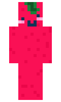 1051 minecraft skin