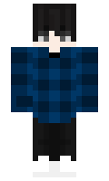 RobinRMC minecraft skin