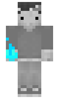 normal minecraft skin