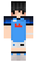 strafelare minecraft skin