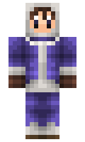 8d38329f062e4c minecraft skin