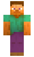 DjenkoD minecraft skin