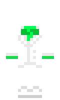 8d89a543affff2 minecraft skin