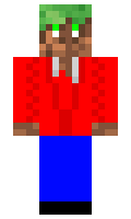 DerGrassblock minecraft skin