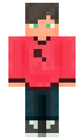 wizer minecraft skin