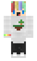 8dc16f19a48e99 minecraft skin