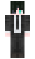 8dd3e9d71e1cd1 minecraft skin