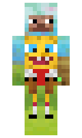 IchWillNettSein minecraft skin