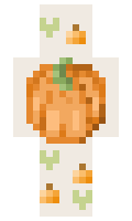 8de8d0c576911b minecraft skin
