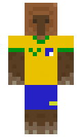 LuccasBS minecraft skin