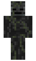 8e0d02c1f4322b minecraft skin